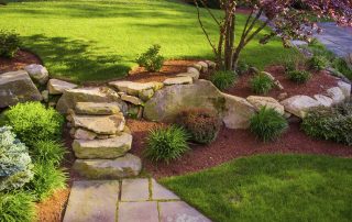 Garden stone path with grass growing up between the stones