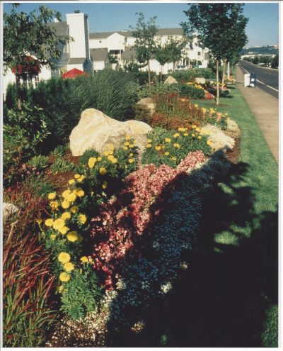 A landscape design done by professionals with large stone in a lush greens and colorful flowers