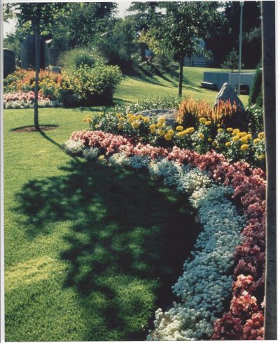 A landscape design done by professionals with large stone in a lush greens and colorful flowers