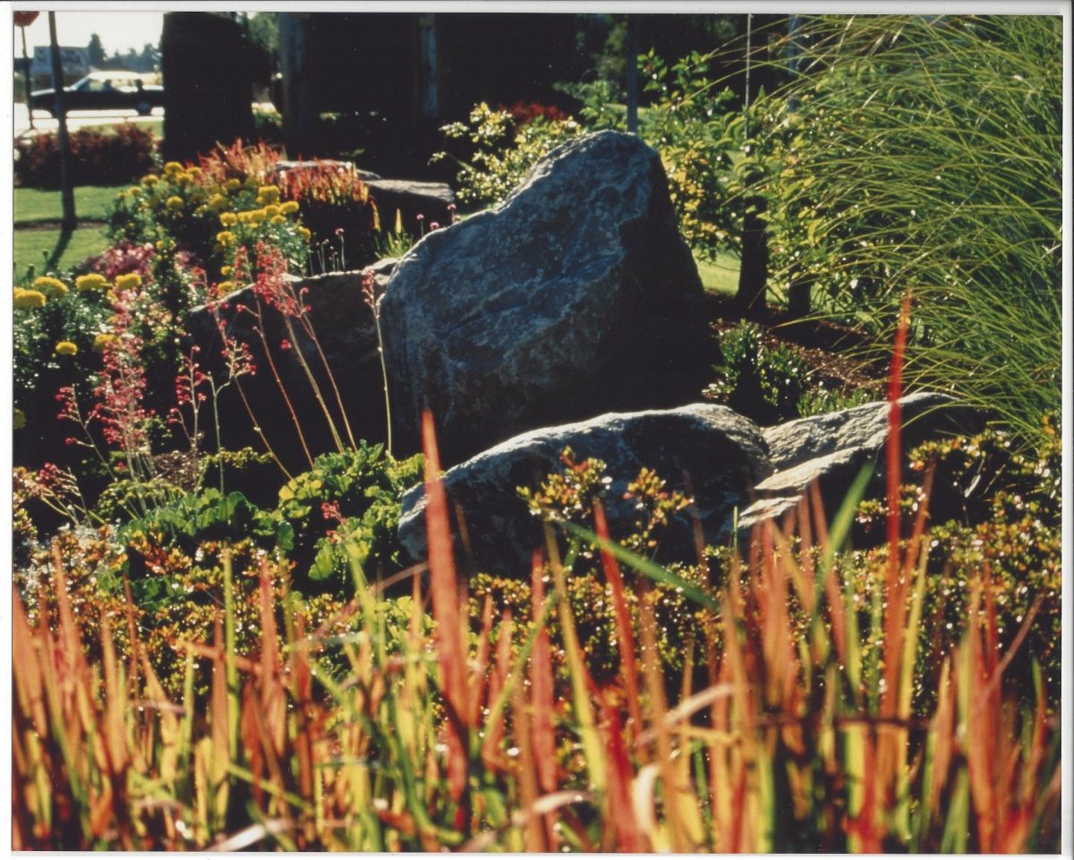 A landscape design done by professionals with large stone in a lush greens and colorful flowers