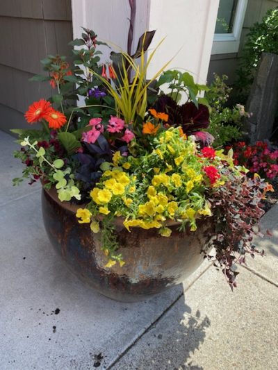 A large flower pot